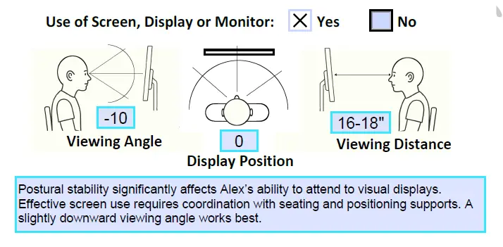 Technical diagram of Visual Access parameters for the LAP-AT, illustrating viewing angle, display position, and viewing distance considerations for students with limited postural stability.
