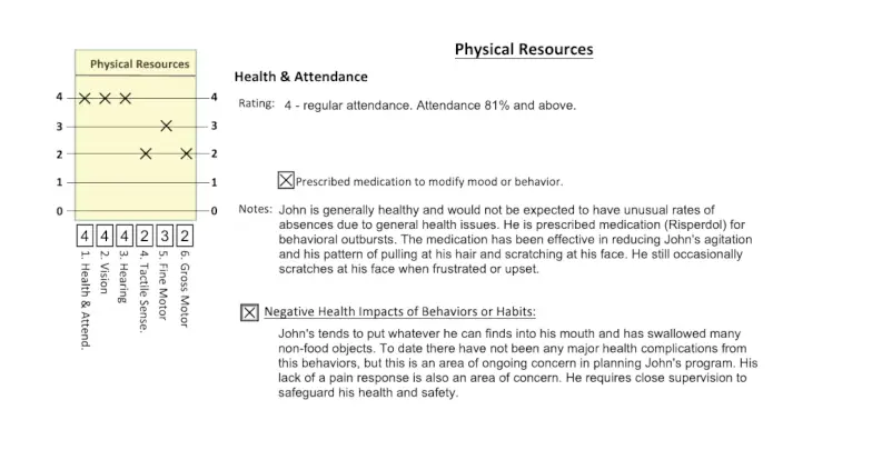 LAP-ASD Physical Resources results graph and team observations, illustrating findings for motor functioning and physical abilities as part of the holistic autism assessment.