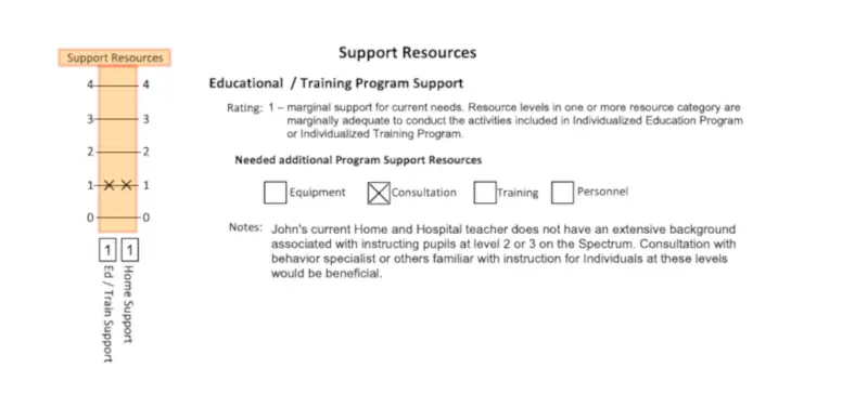 LAP-ASD Support Resources results graph and integrated team notes, detailing the environmental and personal supports required for a roadmap to progress.