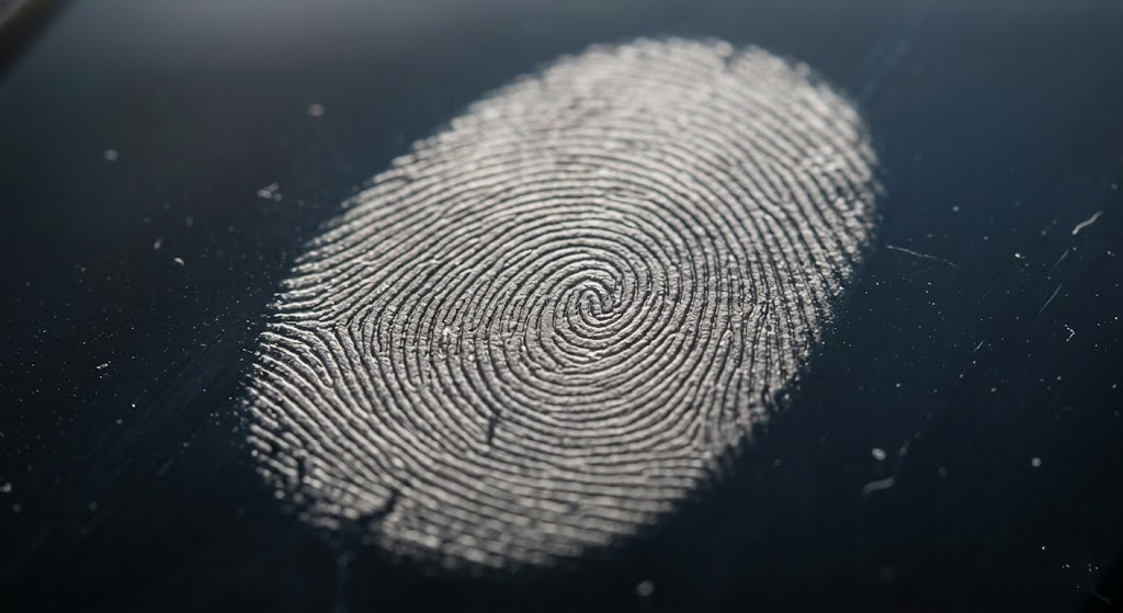 shows a human finger print to show complexity of learning