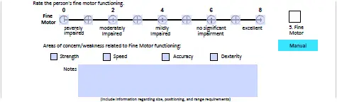Rating Scale item from LAP-ASD Physical Resources category for rating Fine motor functioning.